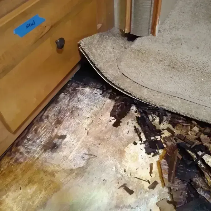 Wood Floor Water Damage in Indian Head Park, IL